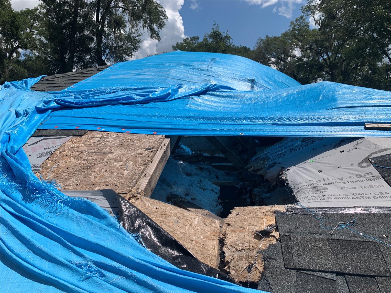 Image 13 of 13 For 6022 Tremont Street