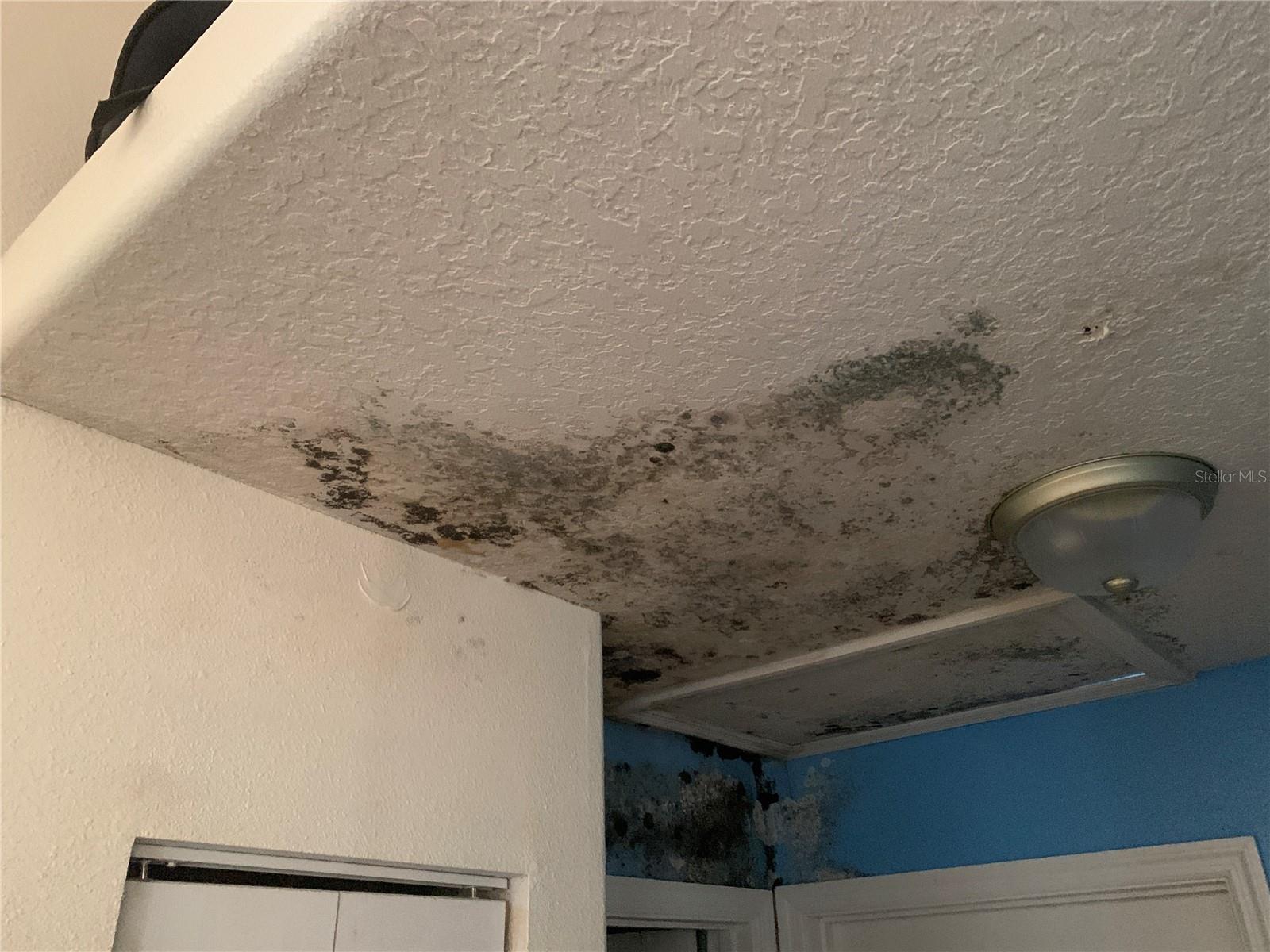 Image 7 of 13 For 6022 Tremont Street