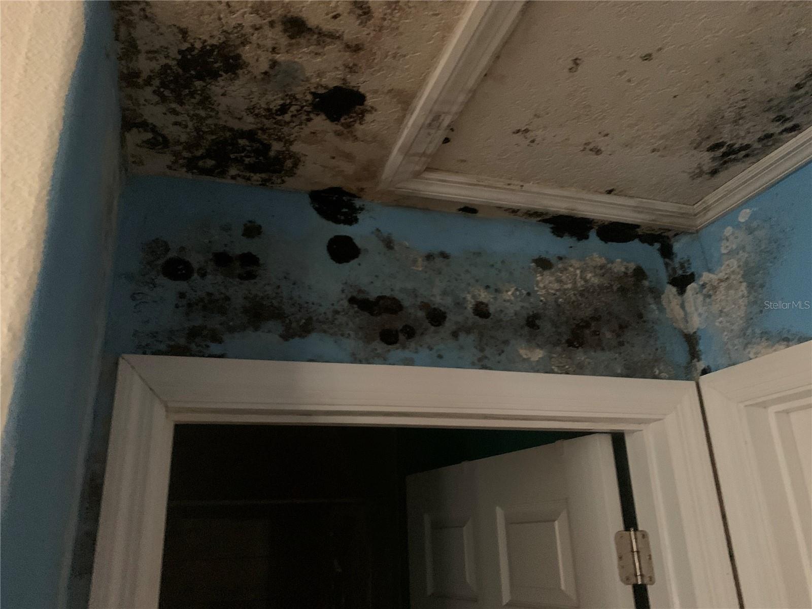 Image 8 of 13 For 6022 Tremont Street