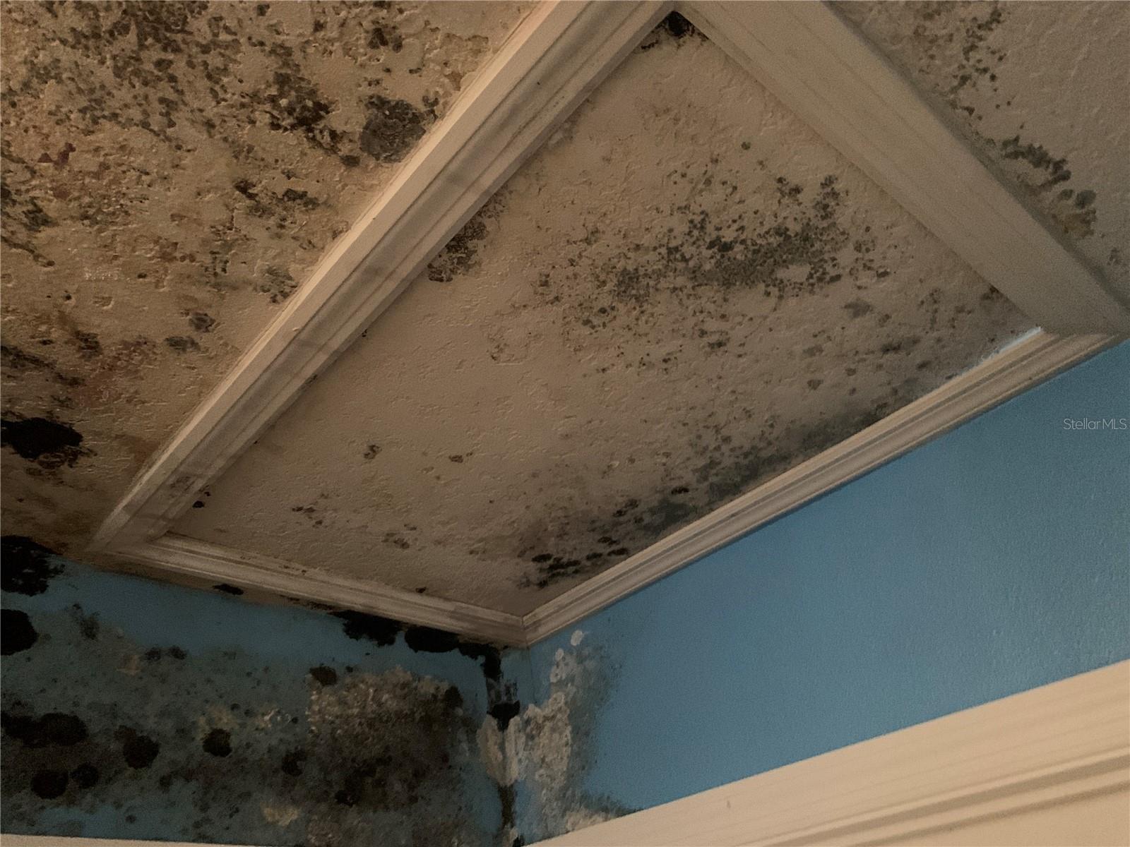 Image 9 of 13 For 6022 Tremont Street