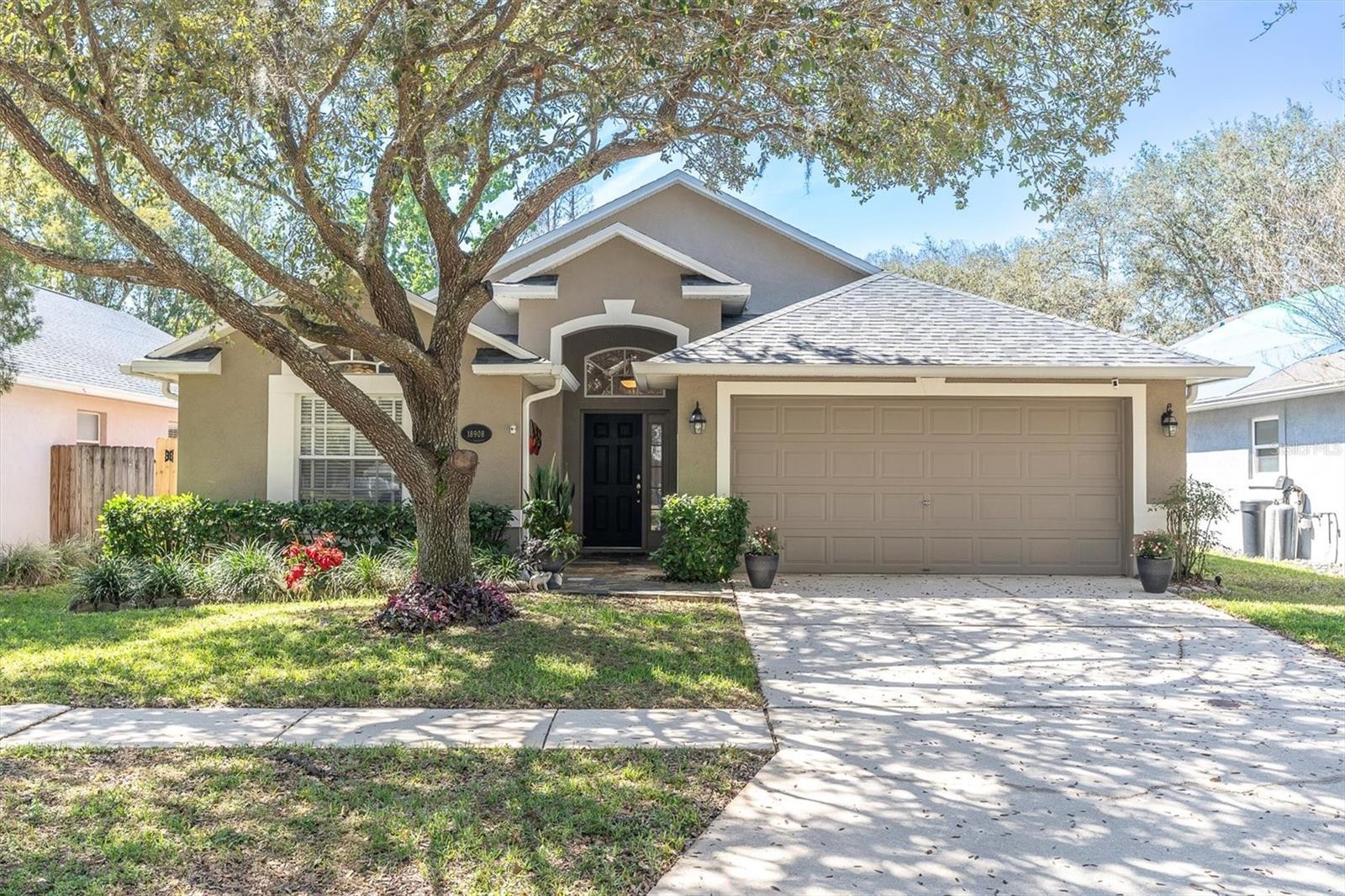 Details for 18908 Nest Fern Circle, TAMPA, FL 33647