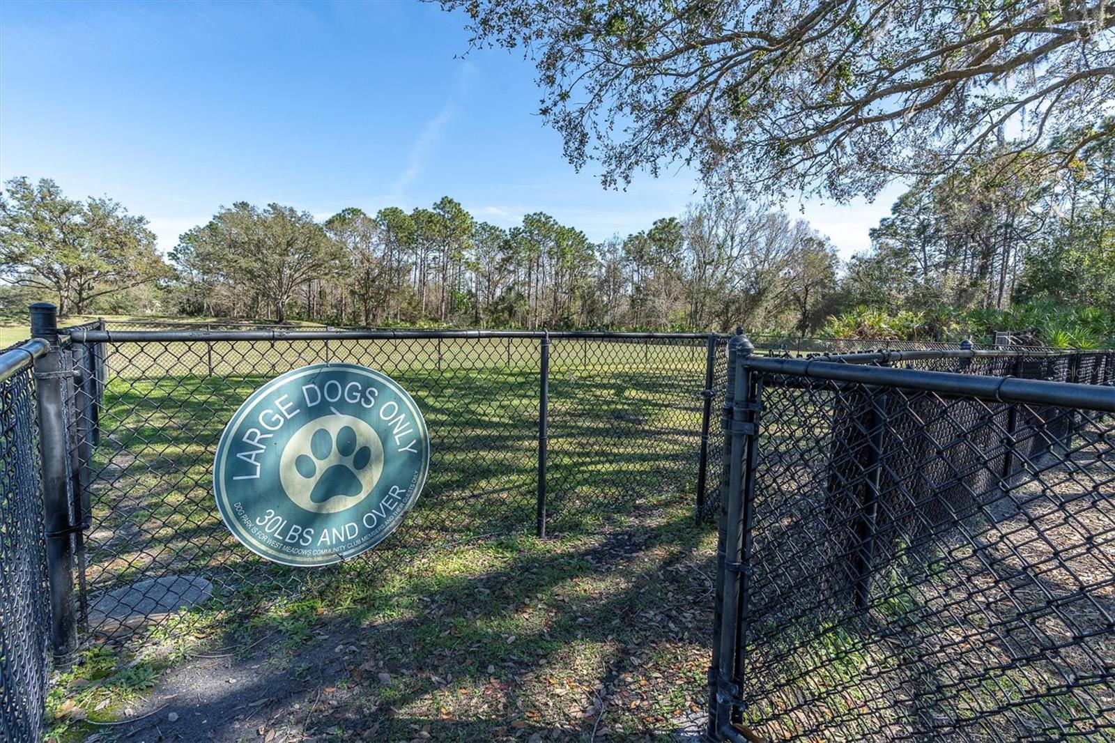 Image 46 of 48 For 18908 Nest Fern Circle