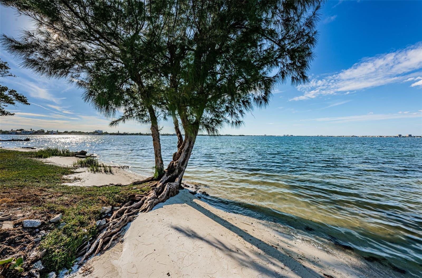 Image 38 of 43 For 6210 Sun Boulevard 408