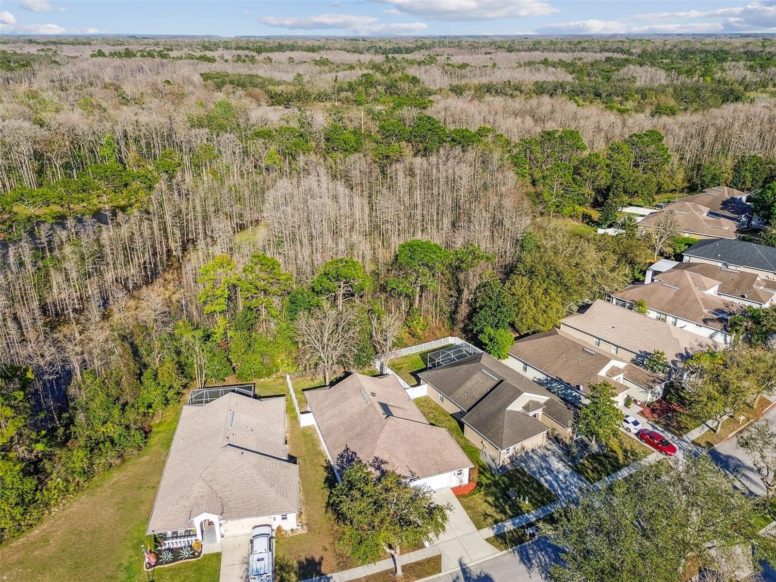 Image 85 of 100 For 15807 Leatherleaf Lane