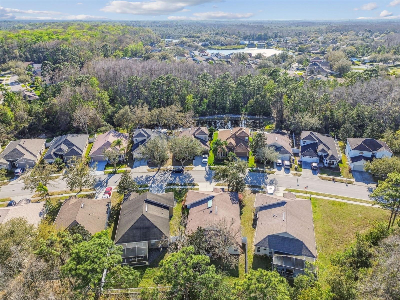 Image 88 of 100 For 15807 Leatherleaf Lane