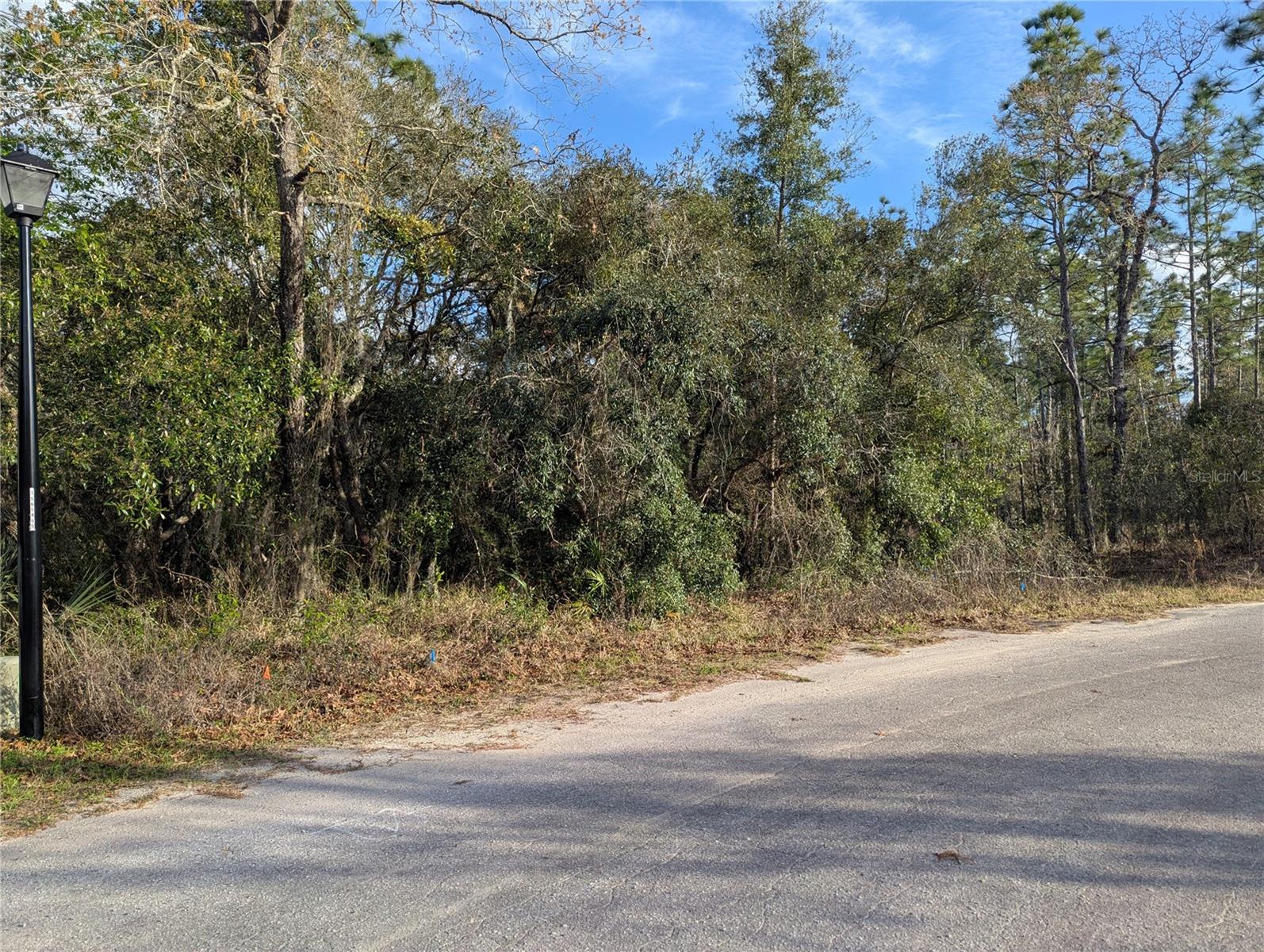Details for 7 Coconut Court, HOMOSASSA, FL 34446