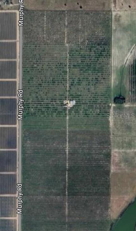 Image 3 of 6 For  Murphy Road 