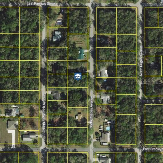 Listing Details for 452 Charles Avenue, INVERNESS, FL 34453