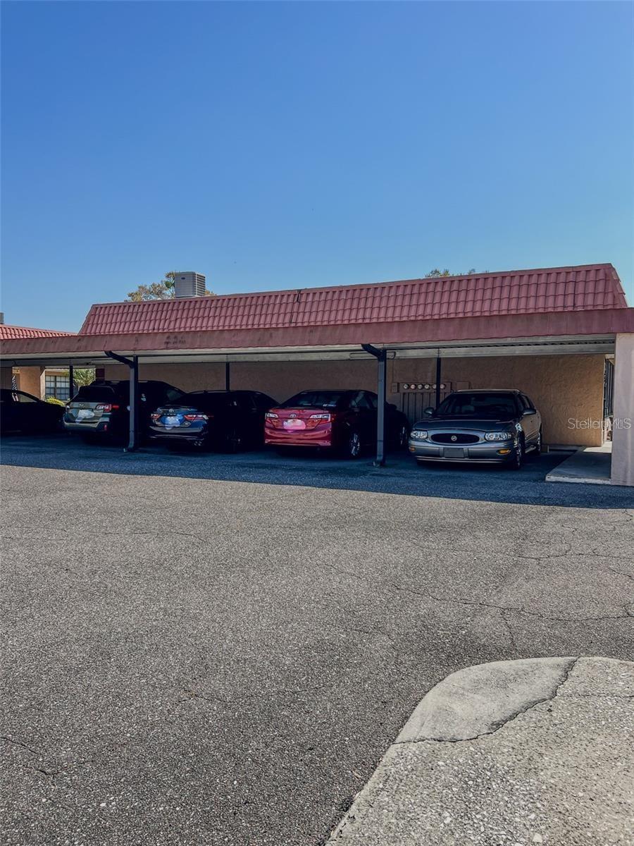 Listing photo id 53 for 19029 Us Highway 19 N 12e