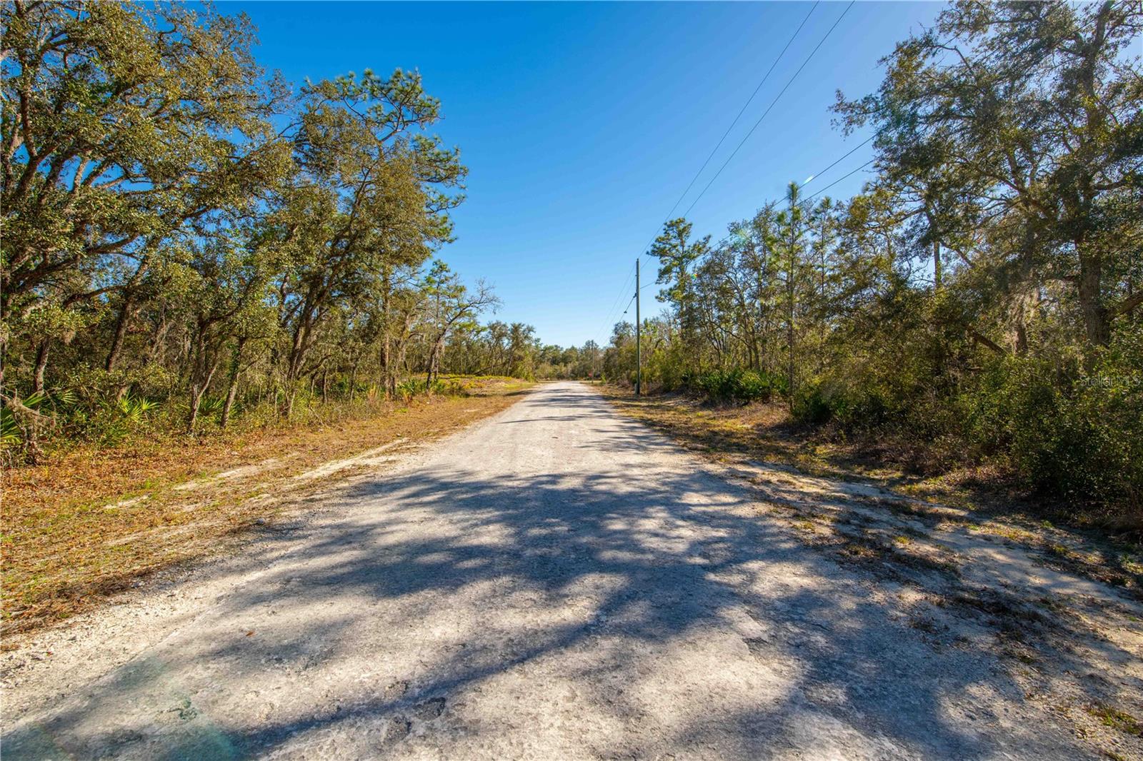 Image 11 of 15 For 8149 Renova Drive