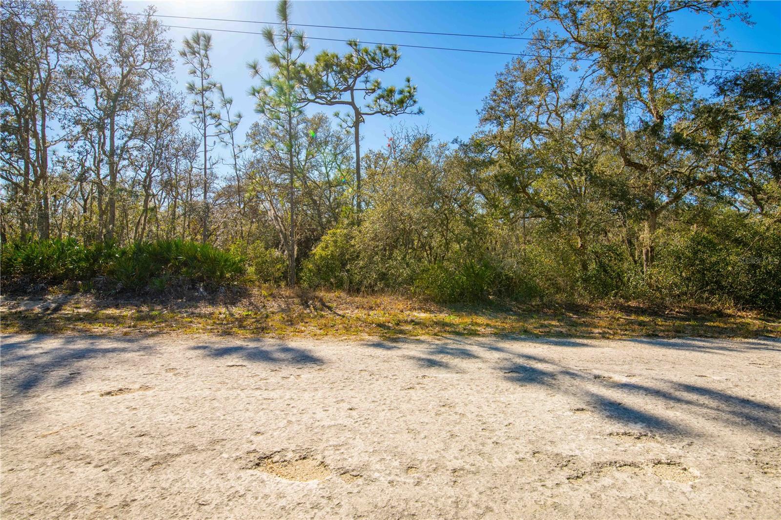 Image 12 of 15 For 8149 Renova Drive