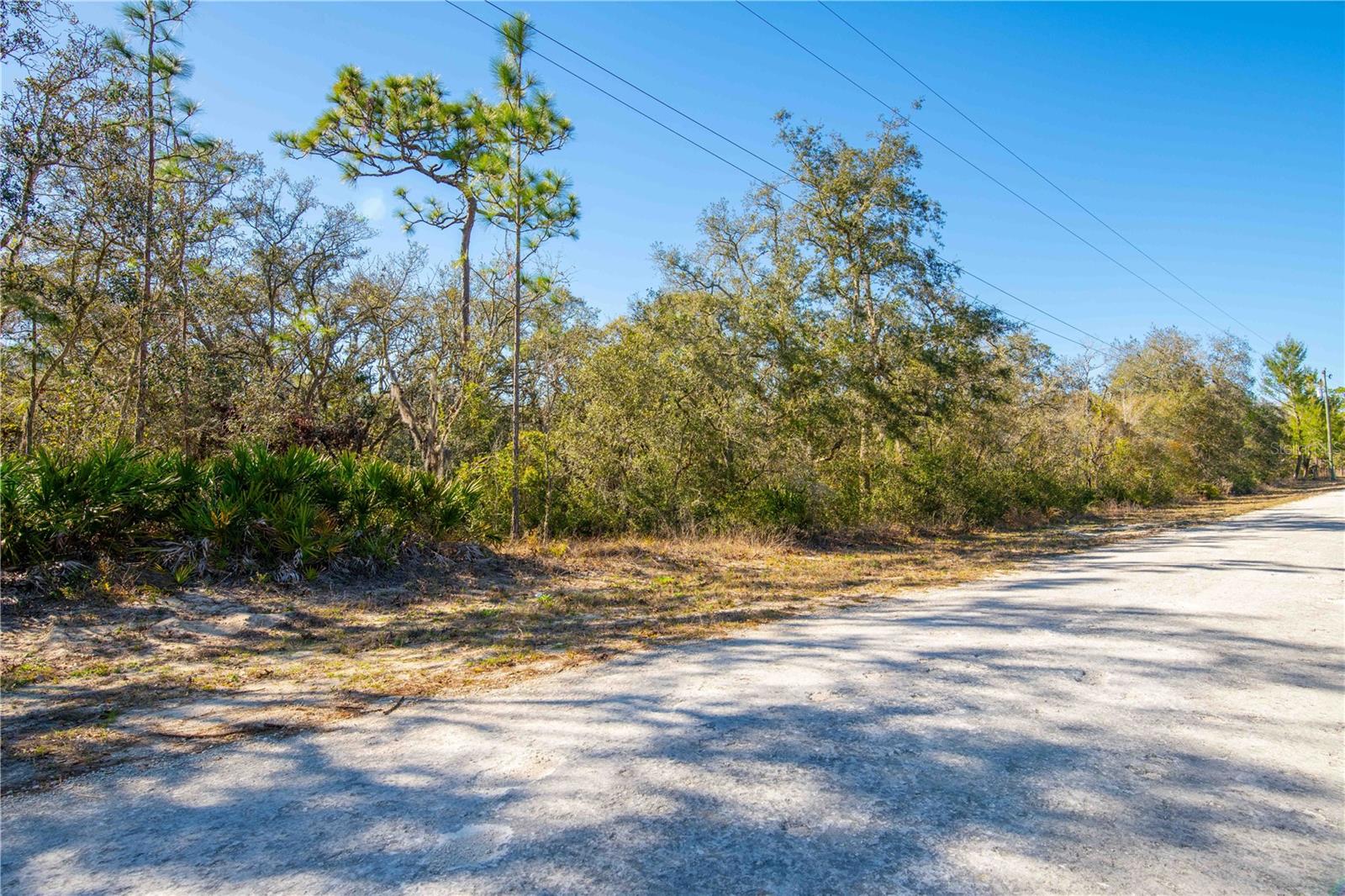 Image 14 of 15 For 8149 Renova Drive