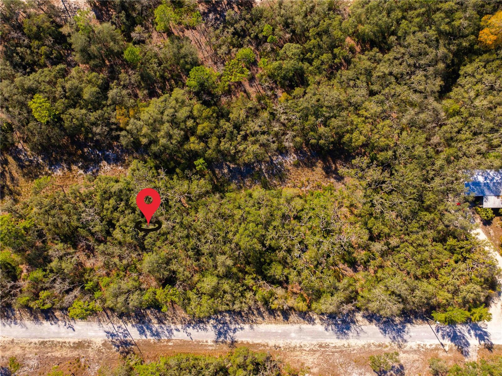 Image 9 of 15 For 8149 Renova Drive