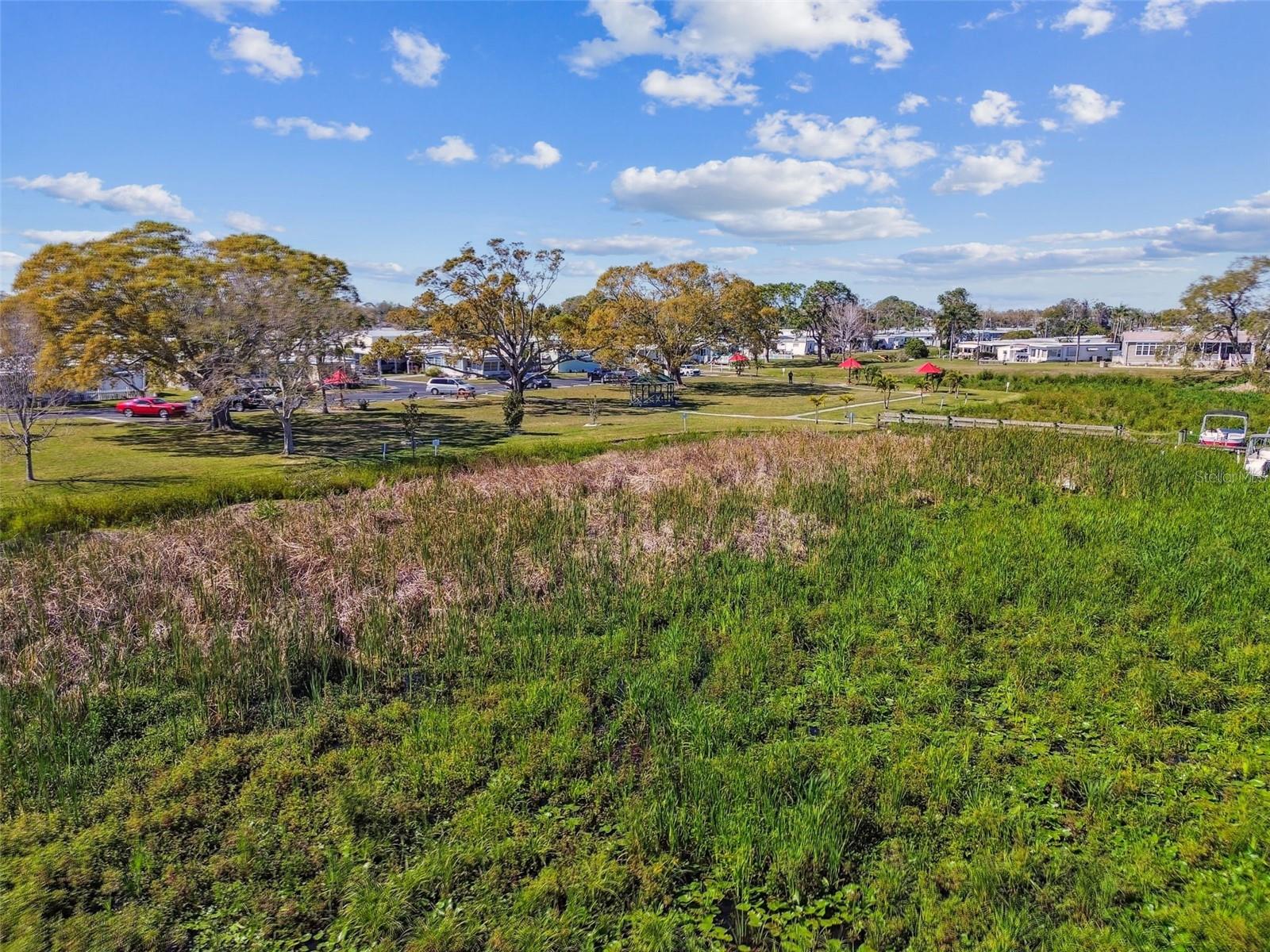 Image 69 of 74 For 12651 Seminole Boulevard 2o