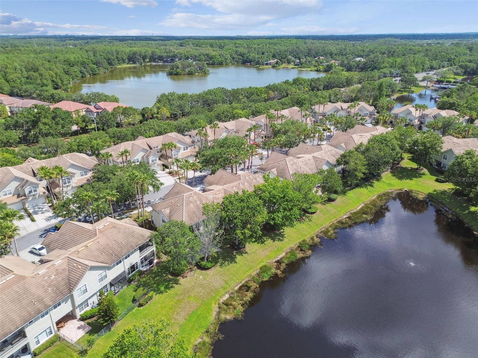 Image 55 of 71 For 14542 Mirabelle Vista Circle