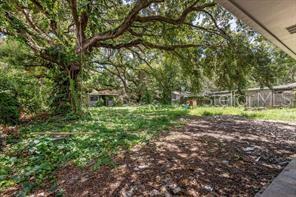 Listing photo id 18 for 2710 Osborne Avenue 1