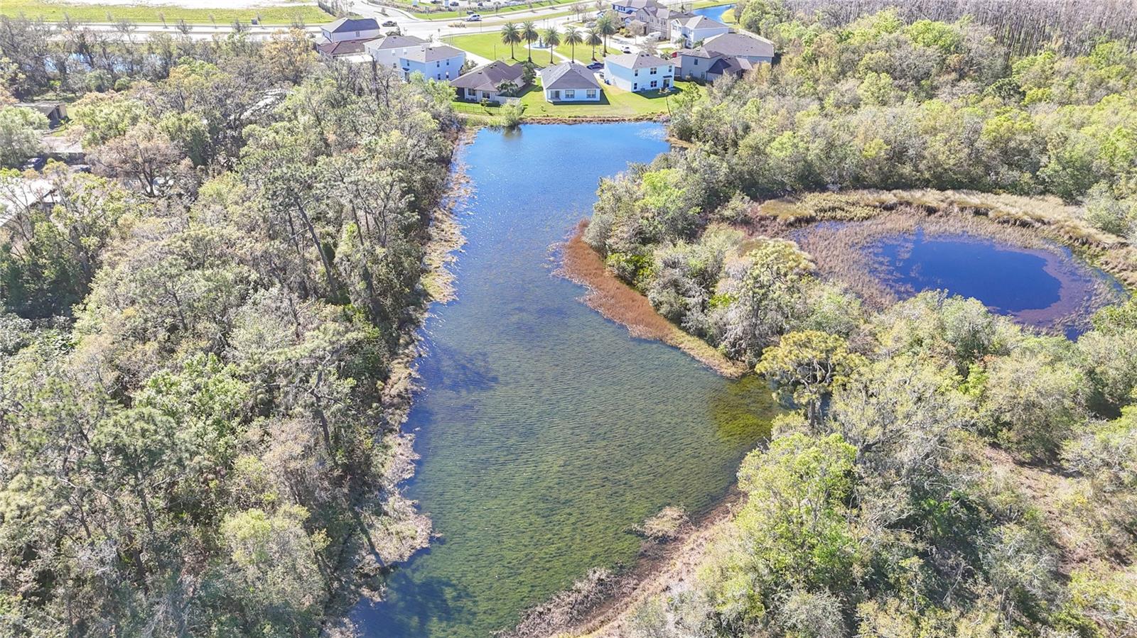 Image 88 of 96 For 5016 Bella Armonia Circle