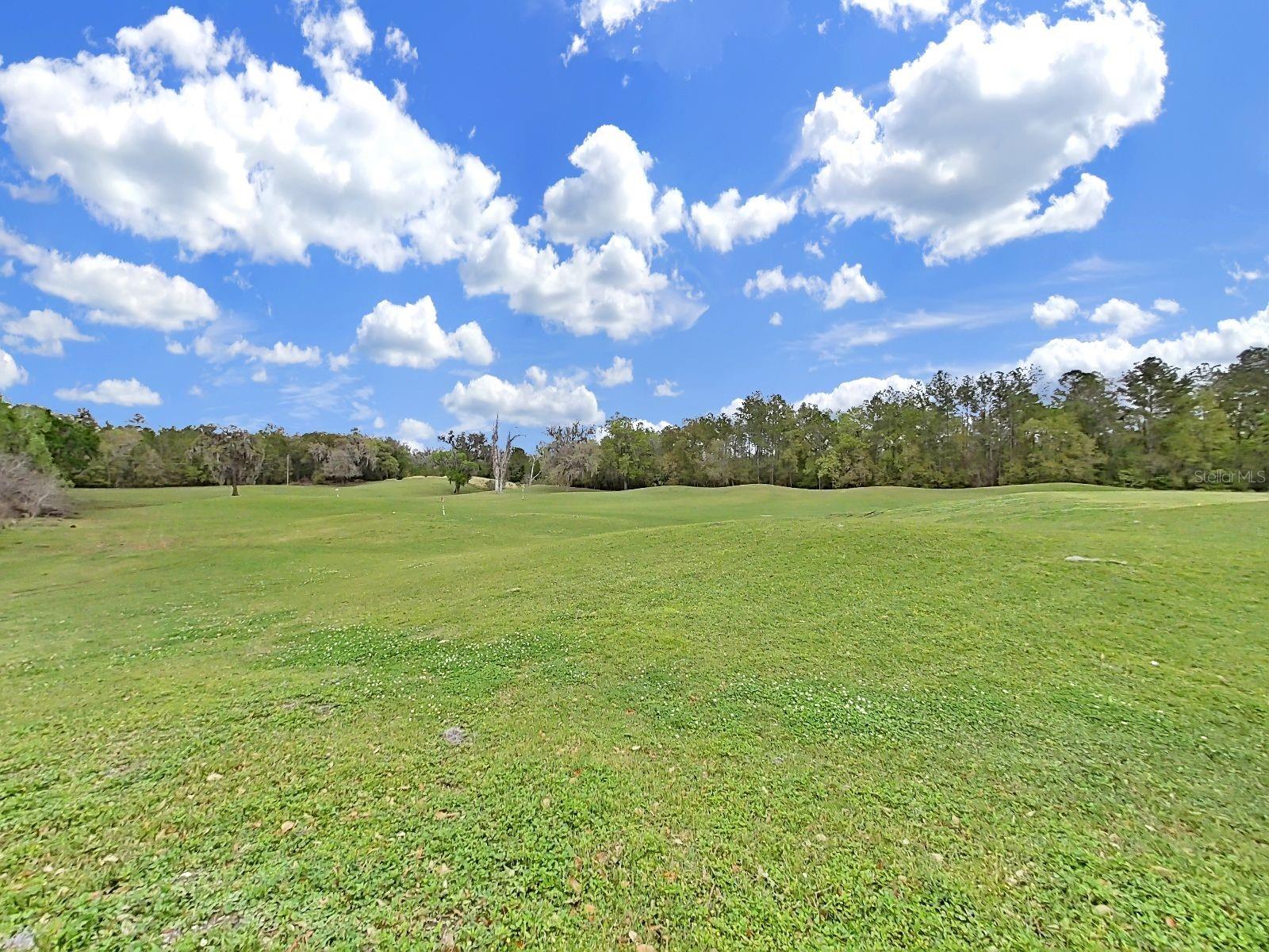 Listing photo id 13 for 4302 Gevalia Drive