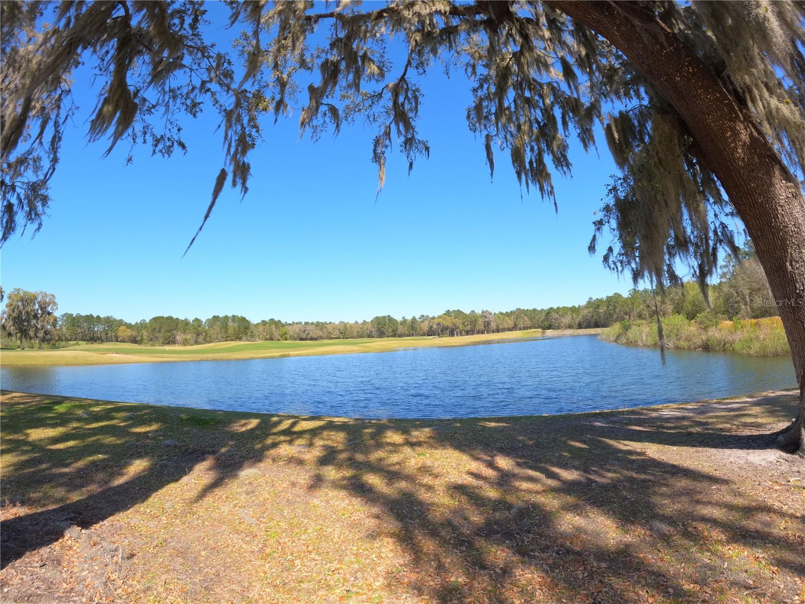 Listing photo id 17 for 4302 Gevalia Drive