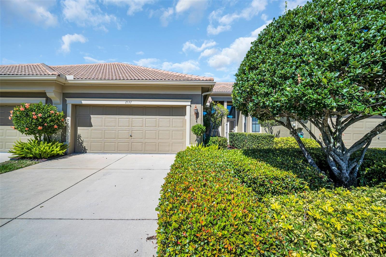 Details for 2537 Gloriosa Drive 2, PALM HARBOR, FL 34684