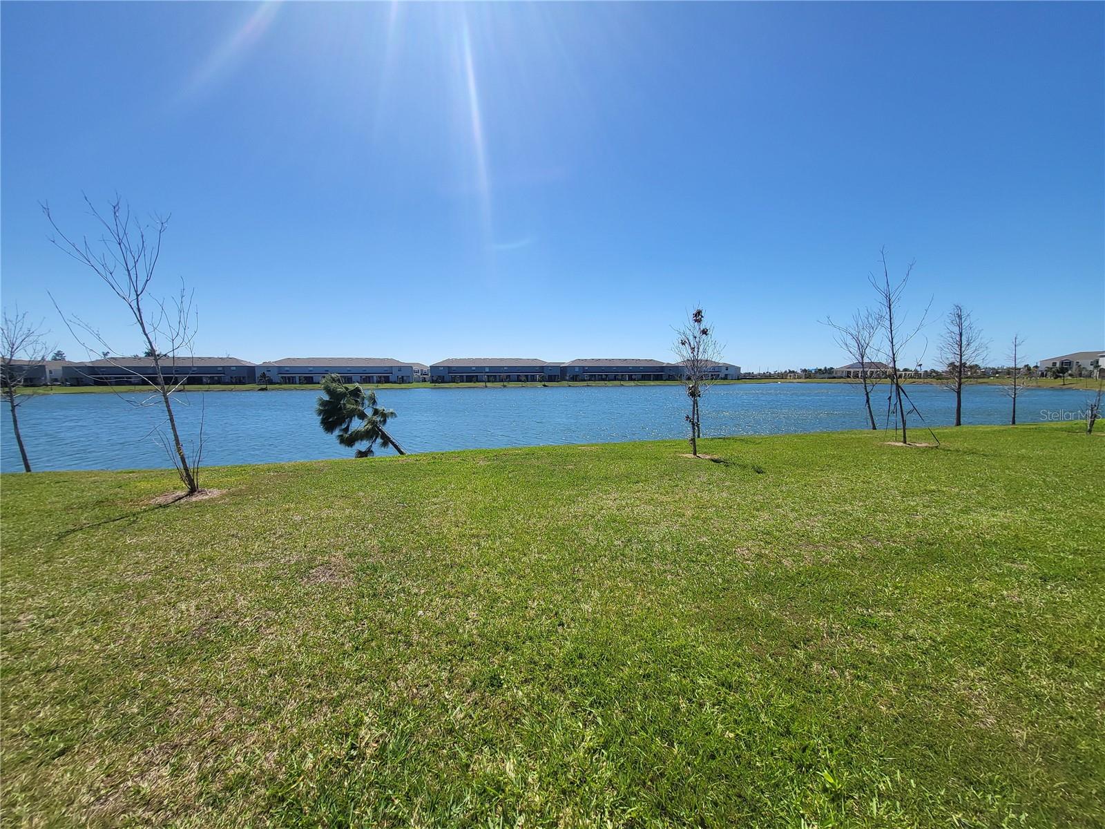 Listing photo id 10 for 239 Mangrove Shade Circle