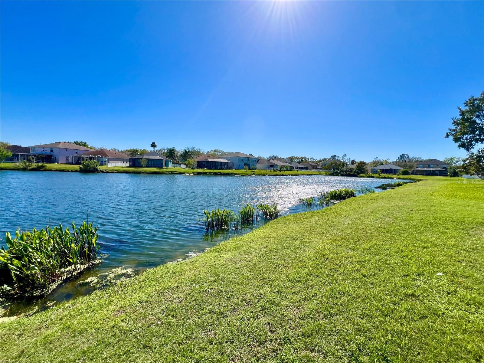 Listing photo id 41 for 1945 Fruitridge Street