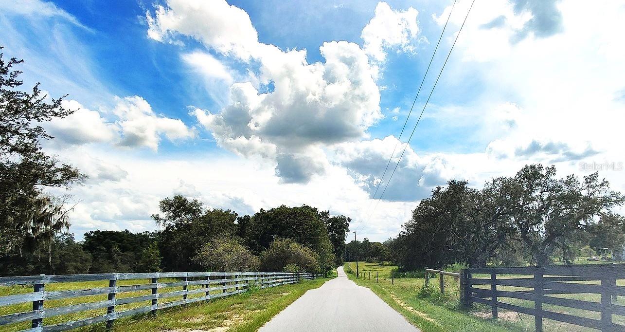 Listing photo id 9 for 0 A D May Road