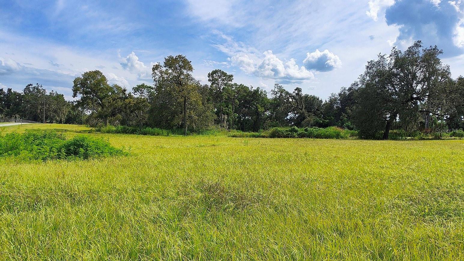 Listing photo id 11 for 0 A D May Road