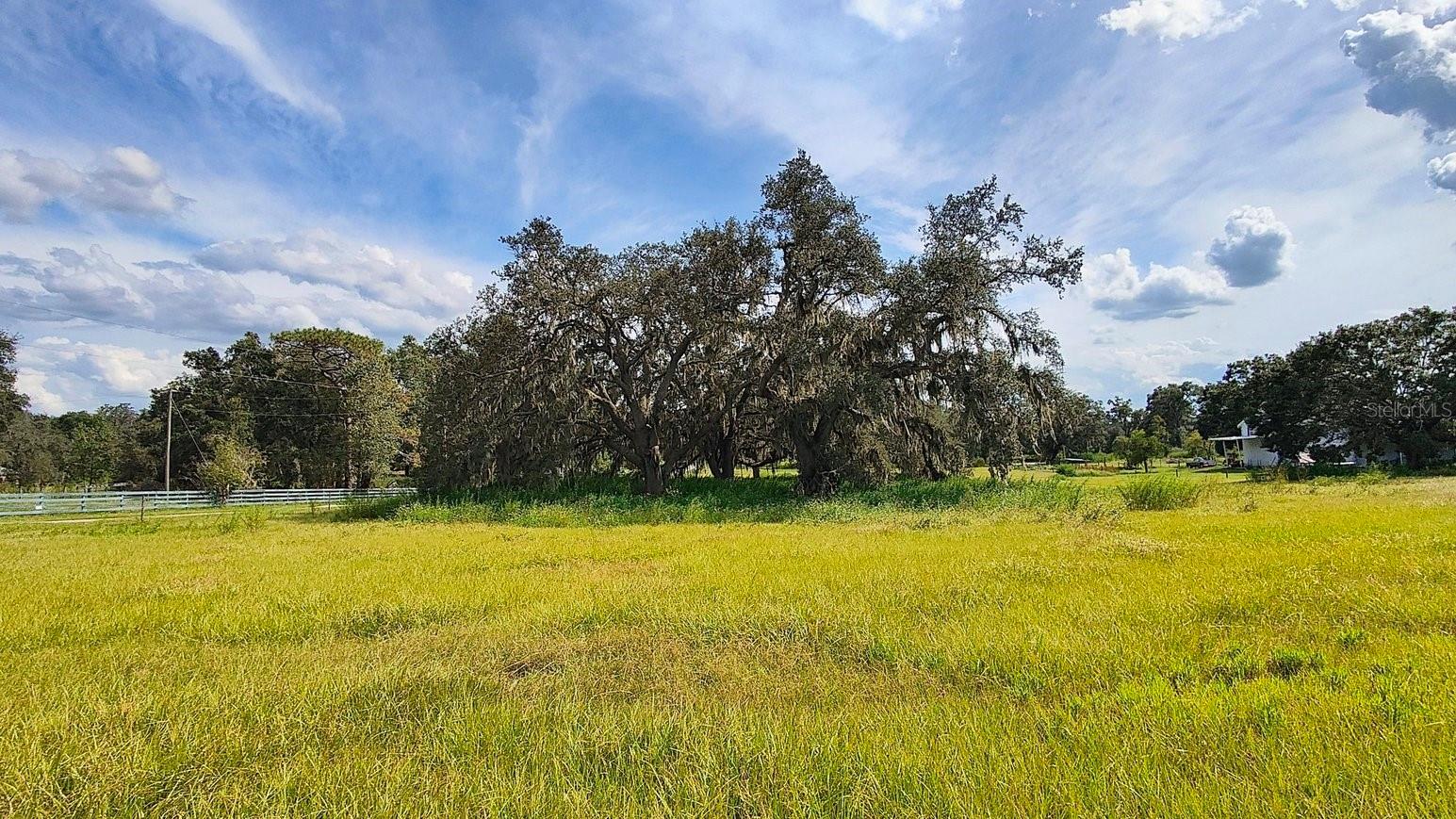 Listing photo id 14 for 0 A D May Road