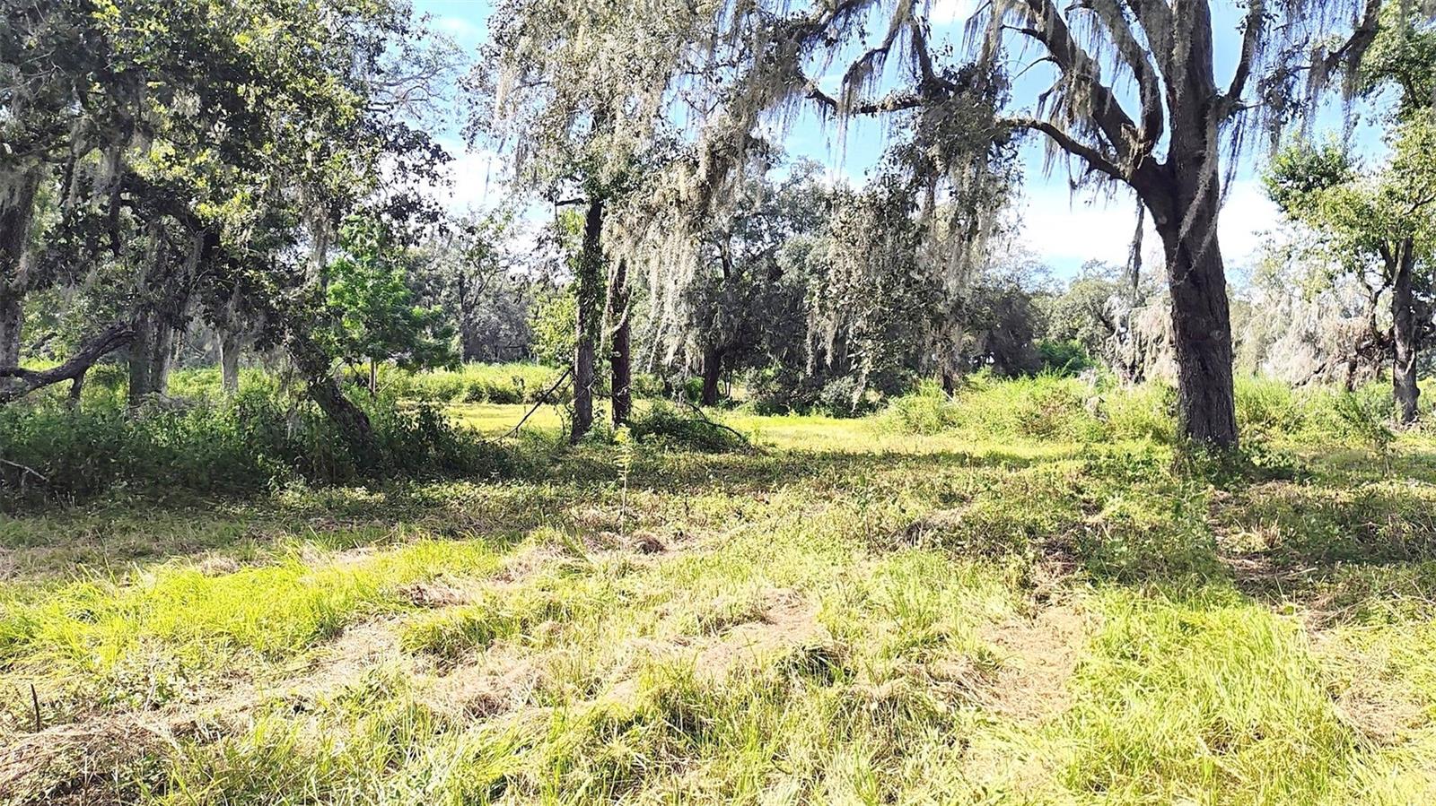 Listing photo id 15 for 0 A D May Road