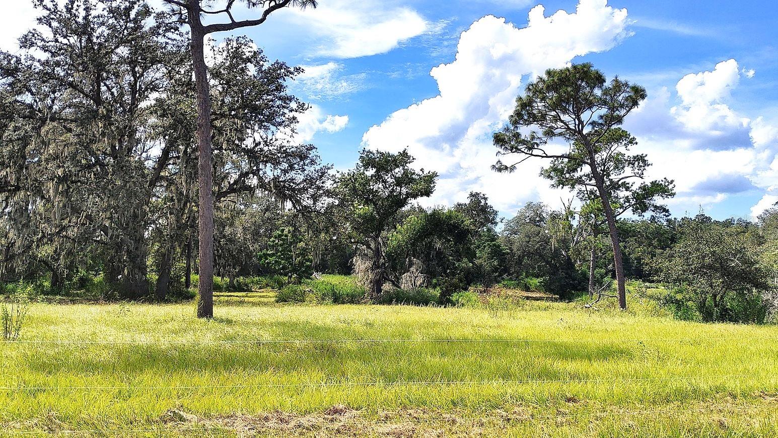 Listing photo id 16 for 0 A D May Road