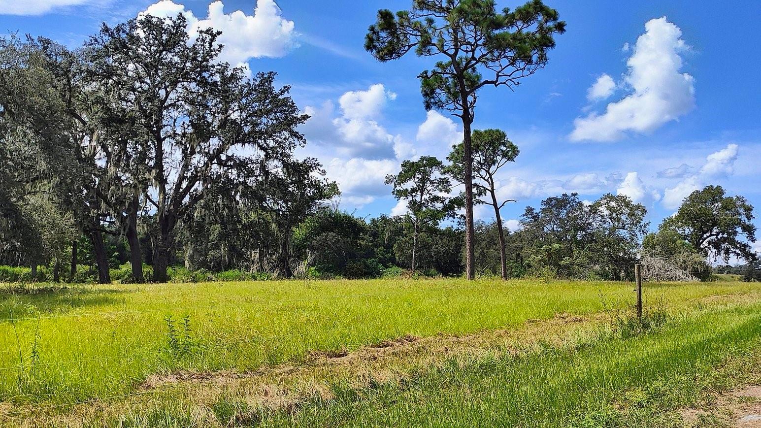 Listing photo id 17 for 0 A D May Road