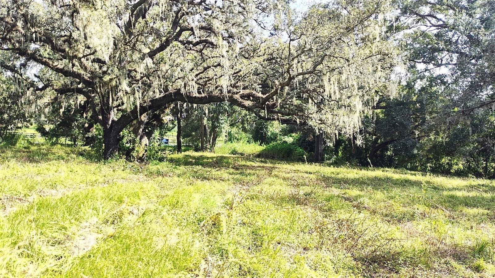 Listing photo id 18 for 0 A D May Road
