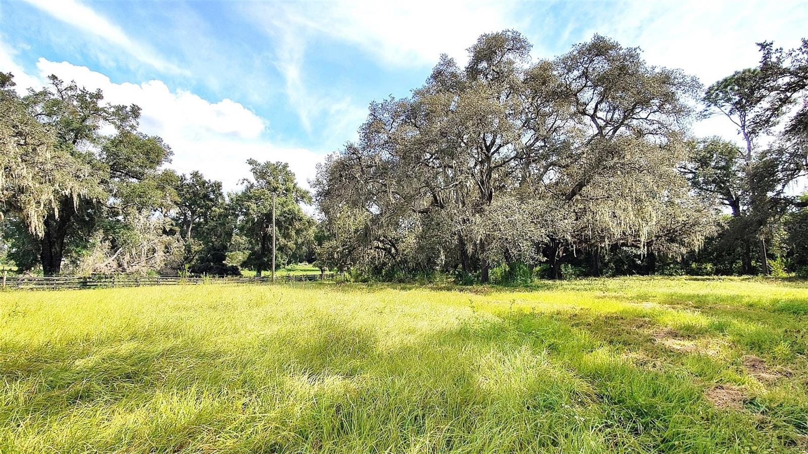 Listing photo id 19 for 0 A D May Road