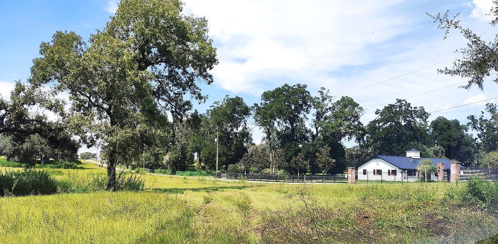 Listing photo id 20 for 0 A D May Road