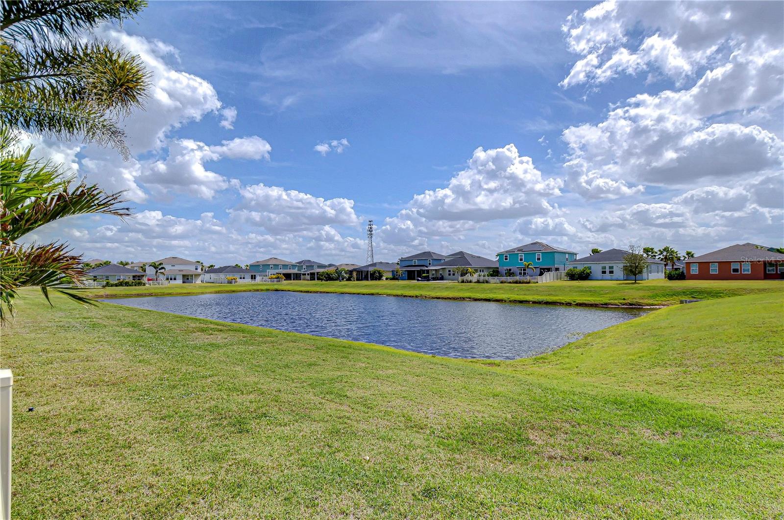 Listing photo id 35 for 11605 Cleyera Court