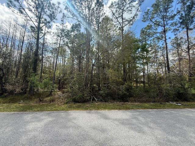 Details for Green Willow Run Lot 759, WESLEY CHAPEL, FL 33544