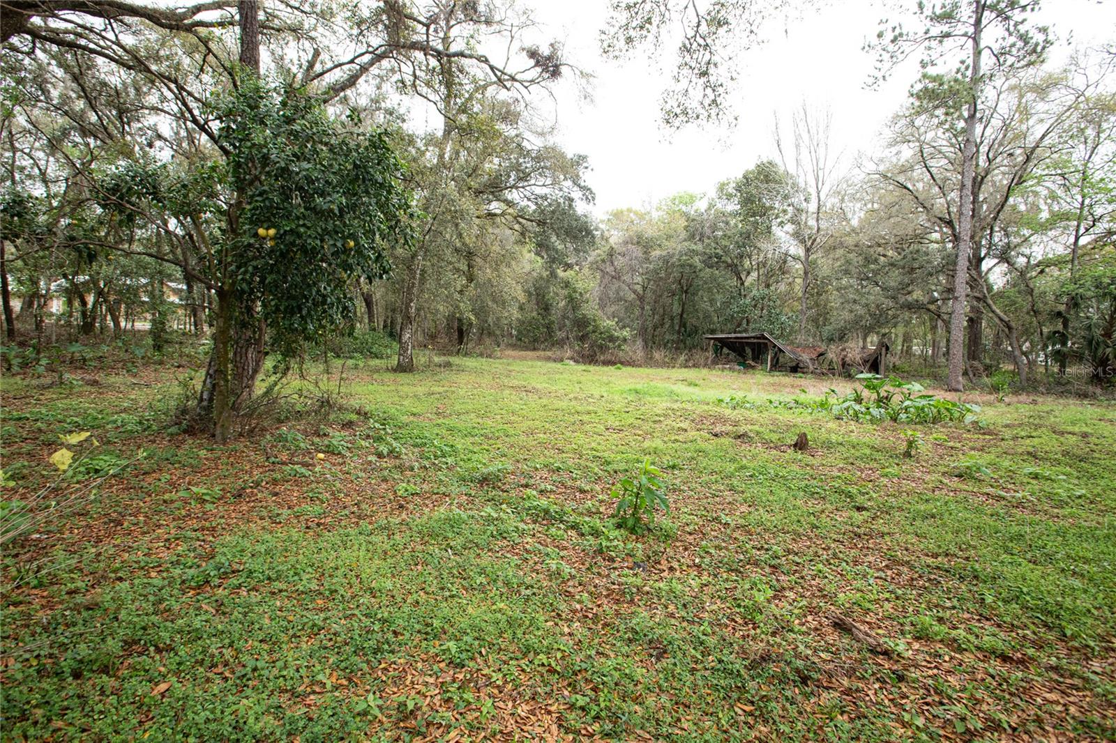 Image 48 of 52 For 25590 Olympia Road