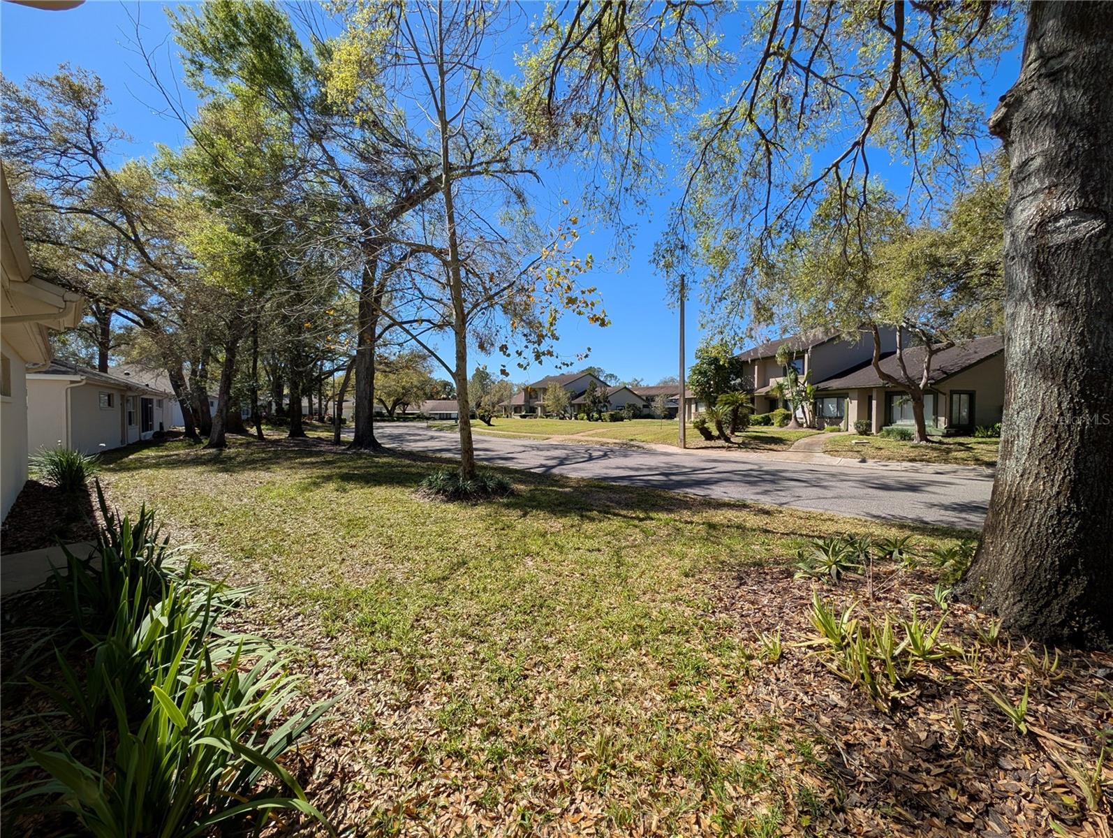 Listing photo id 23 for 8530 Alexandra Arbor Lane