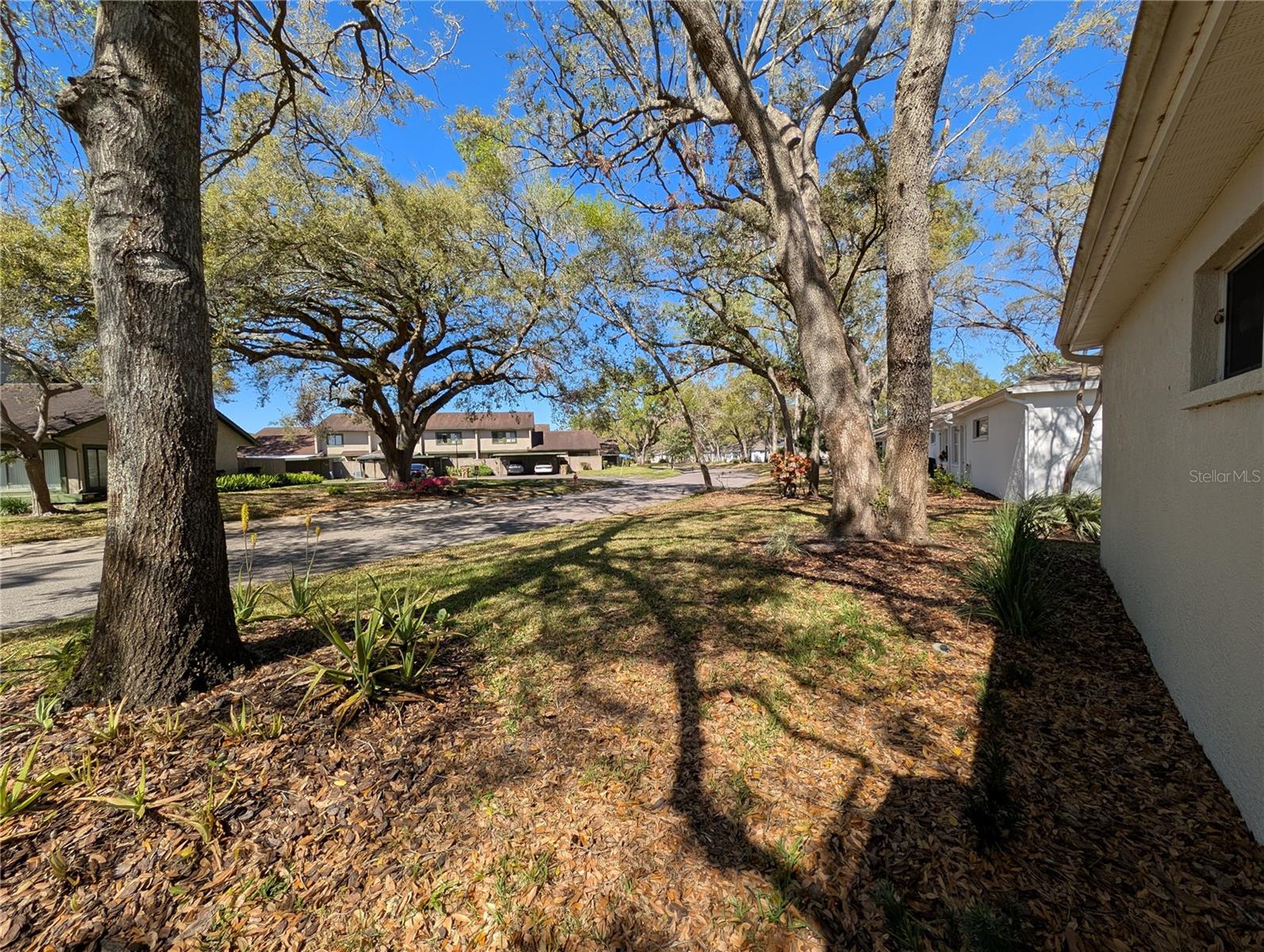 Listing photo id 24 for 8530 Alexandra Arbor Lane