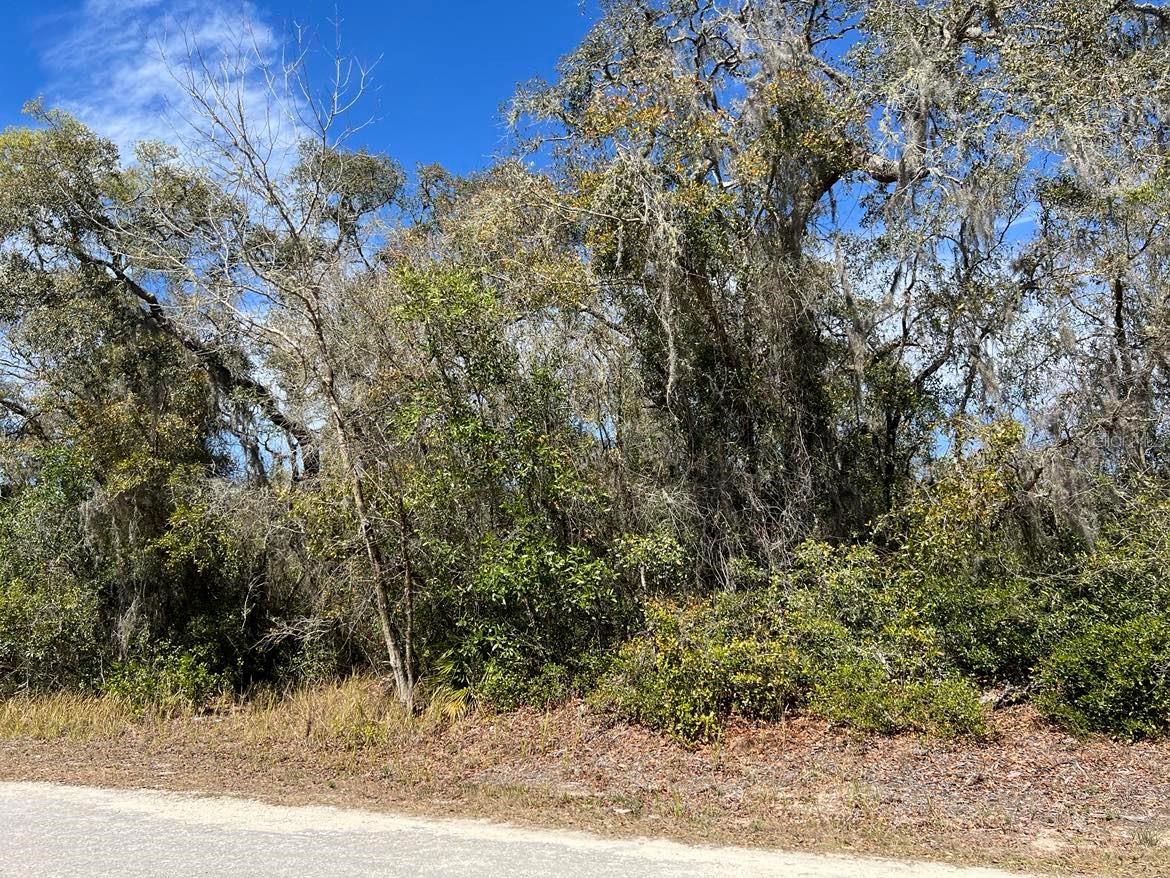Image 3 of 7 For 0 Riverstone Street Lot 26
