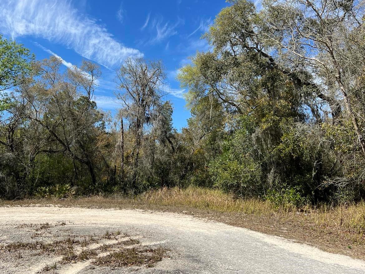 Image 7 of 7 For 0 Riverstone Street Lot 26