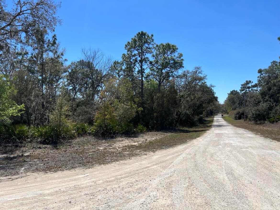Details for 0 Northwest Avenue Lot 32, WEBSTER, FL 33597