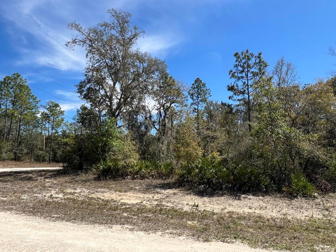 Image 11 of 14 For 0 Northwest Avenue Lot 32