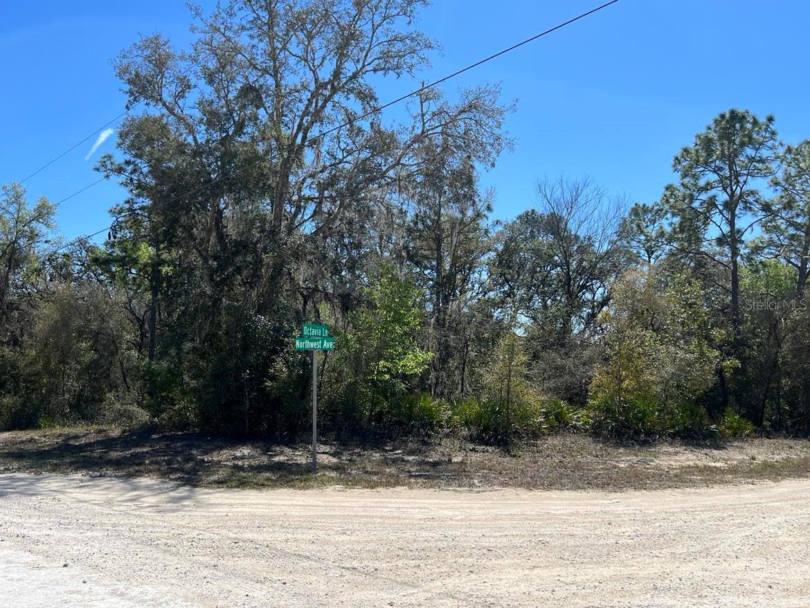 Image 6 of 14 For 0 Northwest Avenue Lot 32