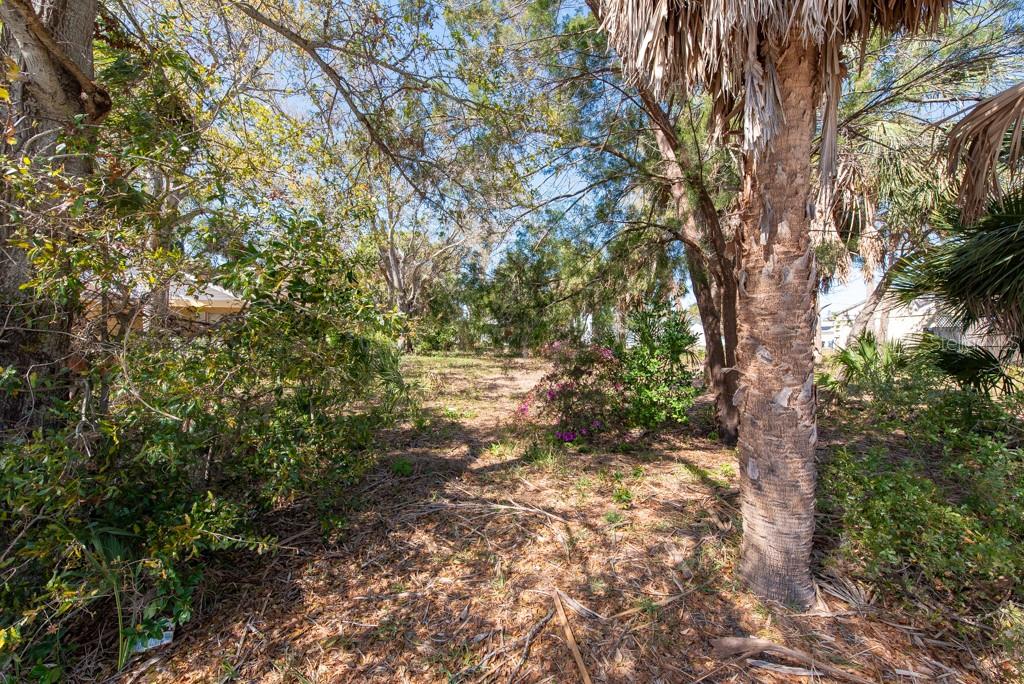 Listing photo id 17 for 506 Blanche B Littlejohn Trail