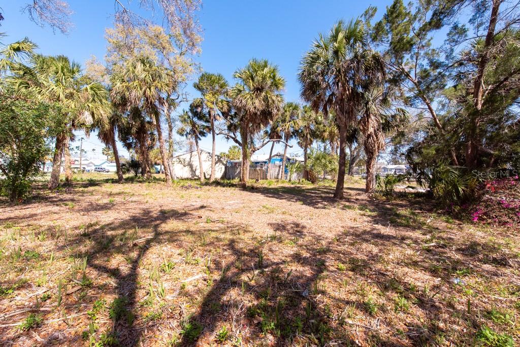 Listing photo id 20 for 506 Blanche B Littlejohn Trail