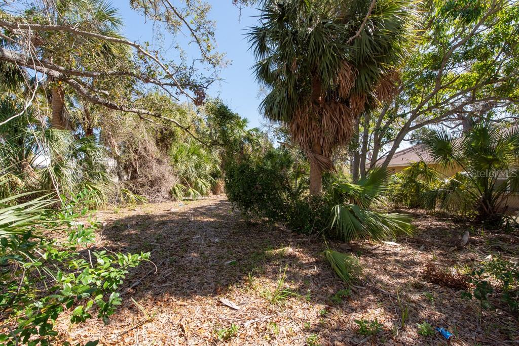 Listing photo id 27 for 506 Blanche B Littlejohn Trail