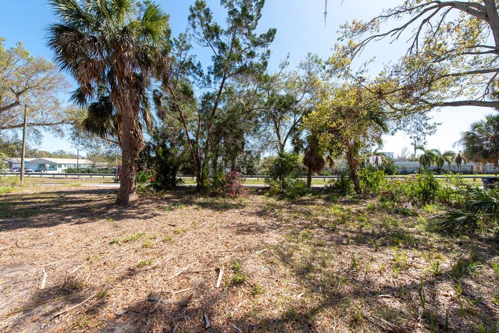 Listing photo id 33 for 506 Blanche B Littlejohn Trail