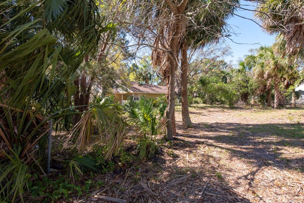 Listing photo id 36 for 506 Blanche B Littlejohn Trail